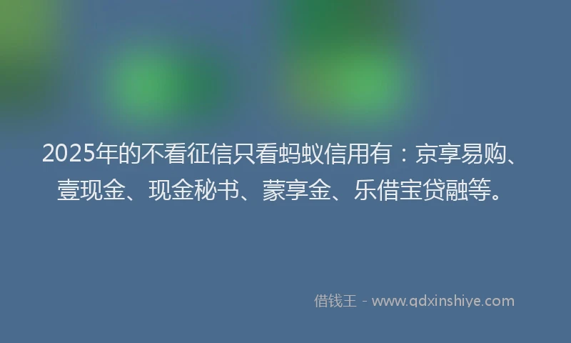 2025年的不看征信只看蚂蚁信用有：京享易购、壹现金、现金秘书、蒙享金、乐借宝贷融等。