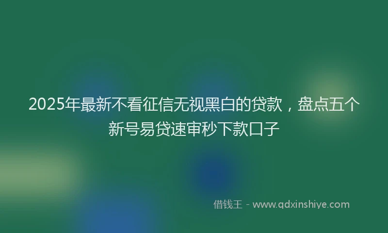 2025年最新不看征信无视黑白的贷款，盘点五个新号易贷速审秒下款口子