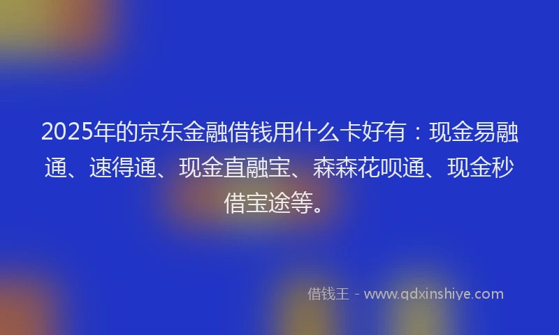2025年的京东金融借钱用什么卡好有：现金易融通、速得通、现金直融宝、森森花呗通、现金秒借宝途等。