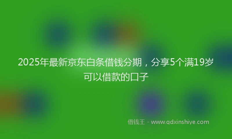 2025年最新京东白条借钱分期，分享5个满19岁可以借款的口子