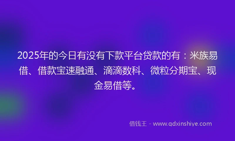 2025年的今日有没有下款平台贷款的有：米族易借、借款宝速融通、滴滴数科、微粒分期宝、现金易借等。