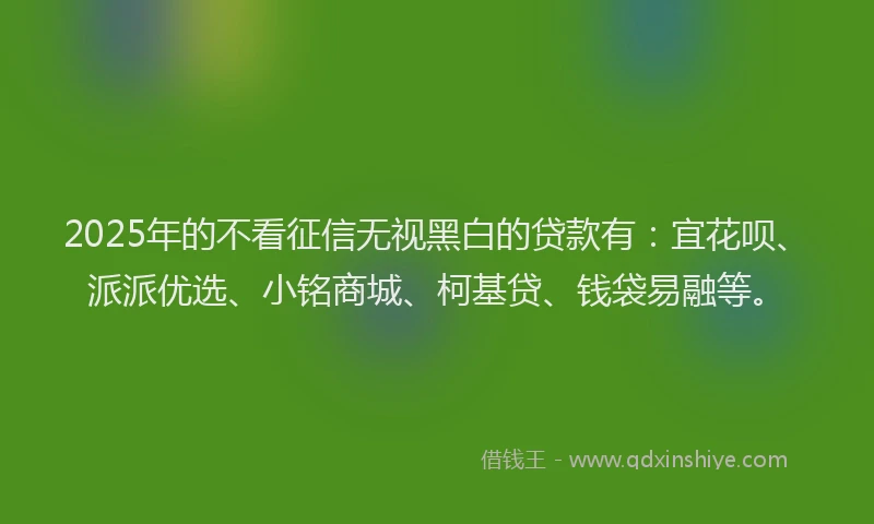 2025年的不看征信无视黑白的贷款有：宜花呗、派派优选、小铭商城、柯基贷、钱袋易融等。