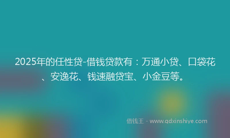 2025年的任性贷-借钱贷款有：万通小贷、口袋花、安逸花、钱速融贷宝、小金豆等。