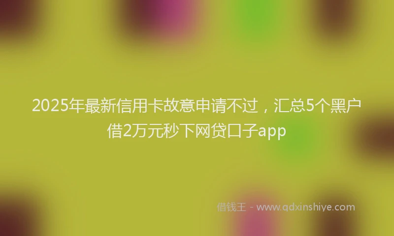 2025年最新信用卡故意申请不过，汇总5个黑户借2万元秒下网贷口子app