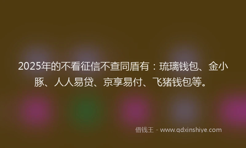 2025年的不看征信不查同盾有：琉璃钱包、金小豚、人人易贷、京享易付、飞猪钱包等。