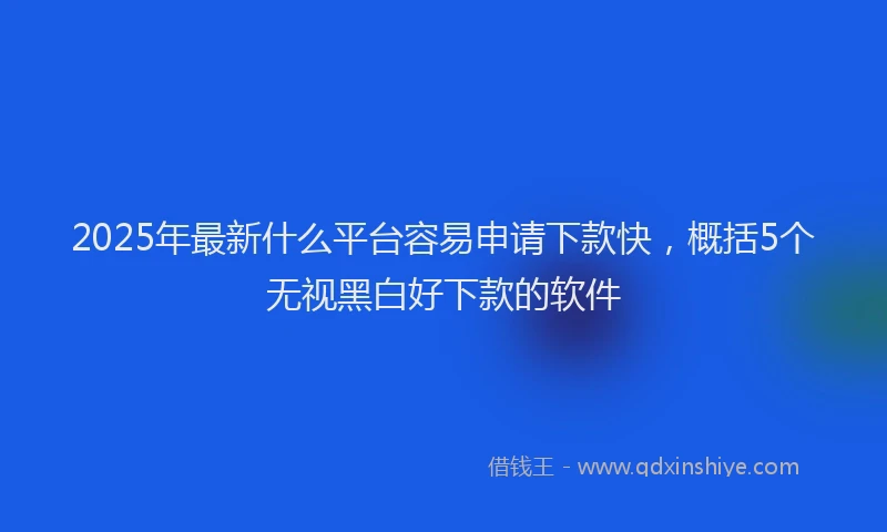 2025年最新什么平台容易申请下款快，概括5个无视黑白好下款的软件