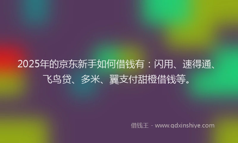 2025年的京东新手如何借钱有：闪用、速得通、飞鸟贷、多米、翼支付甜橙借钱等。