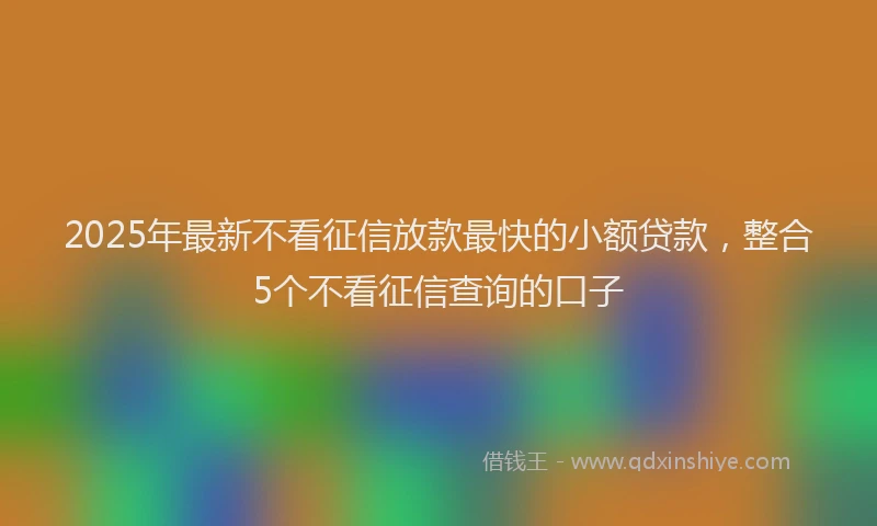 2025年最新不看征信放款最快的小额贷款，整合5个不看征信查询的口子