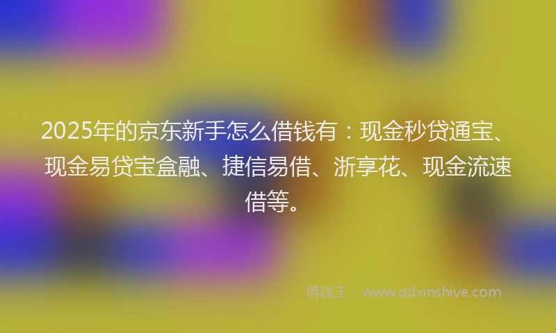 2025年的京东新手怎么借钱有：现金秒贷通宝、现金易贷宝盒融、捷信易借、浙享花、现金流速借等。