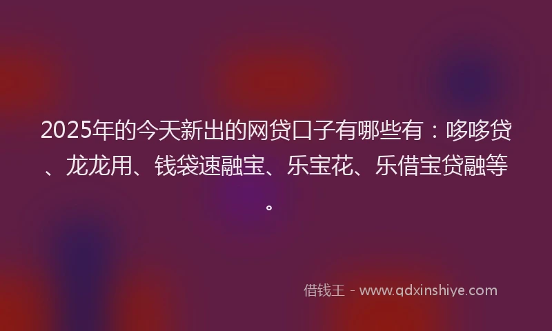 2025年的今天新出的网贷口子有哪些有：哆哆贷、龙龙用、钱袋速融宝、乐宝花、乐借宝贷融等。