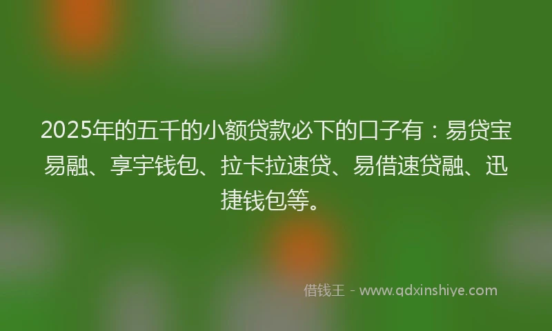 2025年的五千的小额贷款必下的口子有：易贷宝易融、享宇钱包、拉卡拉速贷、易借速贷融、迅捷钱包等。
