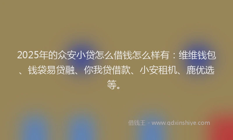 2025年的众安小贷怎么借钱怎么样有：维维钱包、钱袋易贷融、你我贷借款、小安租机、鹿优选等。
