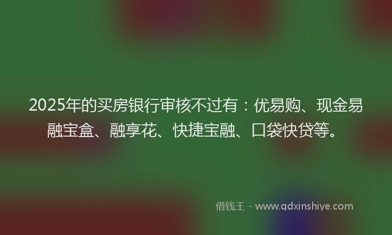 2025年的买房银行审核不过有：优易购、现金易融宝盒、融享花、快捷宝融、口袋快贷等。