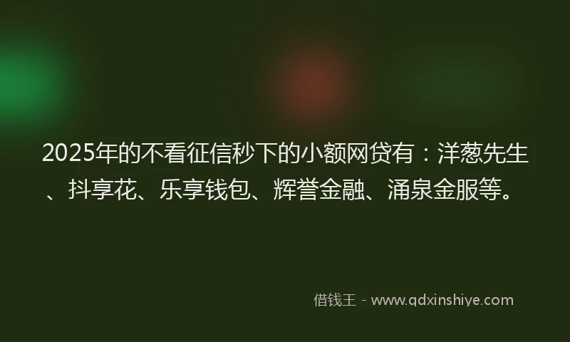 2025年的不看征信秒下的小额网贷有：洋葱先生、抖享花、乐享钱包、辉誉金融、涌泉金服等。