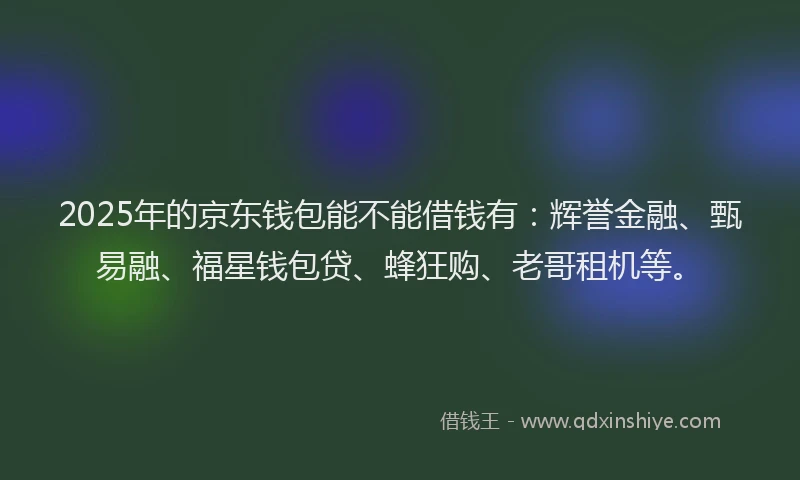 2025年的京东钱包能不能借钱有：辉誉金融、甄易融、福星钱包贷、蜂狂购、老哥租机等。