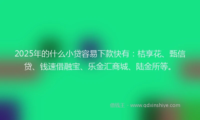 2025年的什么小贷容易下款快有：桔享花、甄信贷、钱速借融宝、乐金汇商城、陆金所等。