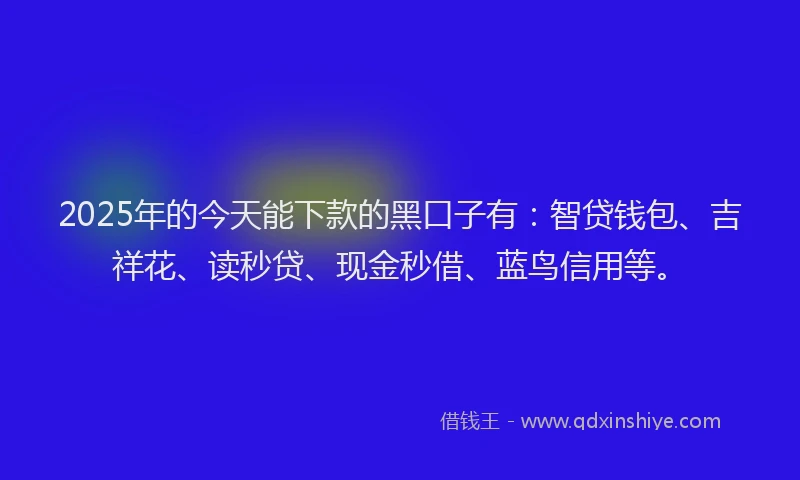 2025年的今天能下款的黑口子有：智贷钱包、吉祥花、读秒贷、现金秒借、蓝鸟信用等。