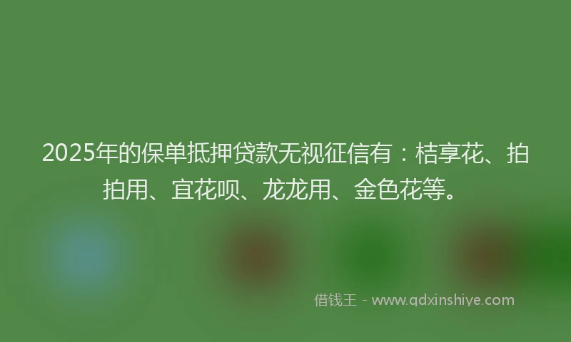 2025年的保单抵押贷款无视征信有：桔享花、拍拍用、宜花呗、龙龙用、金色花等。