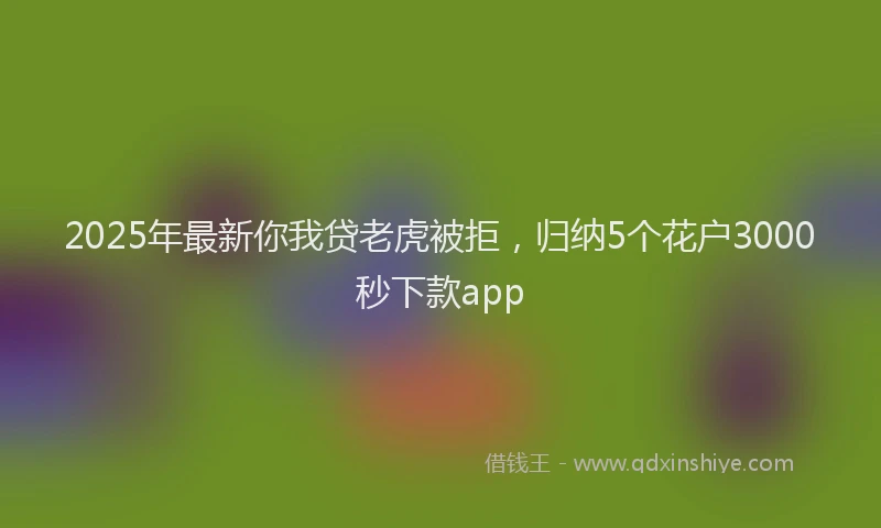 2025年最新你我贷老虎被拒，归纳5个花户3000秒下款app