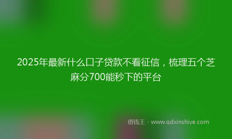2025年最新什么口子贷款不看征信，梳理五个芝麻分700能秒下的平台