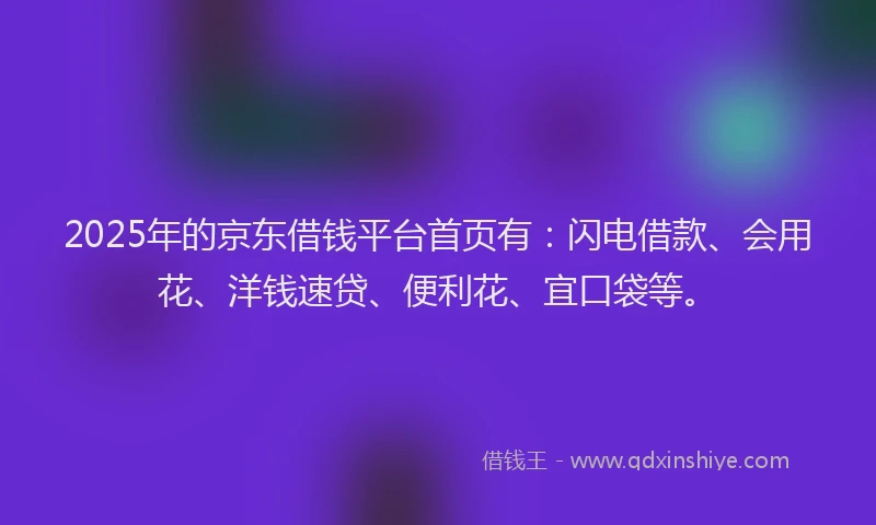 2025年的京东借钱平台首页有：闪电借款、会用花、洋钱速贷、便利花、宜口袋等。