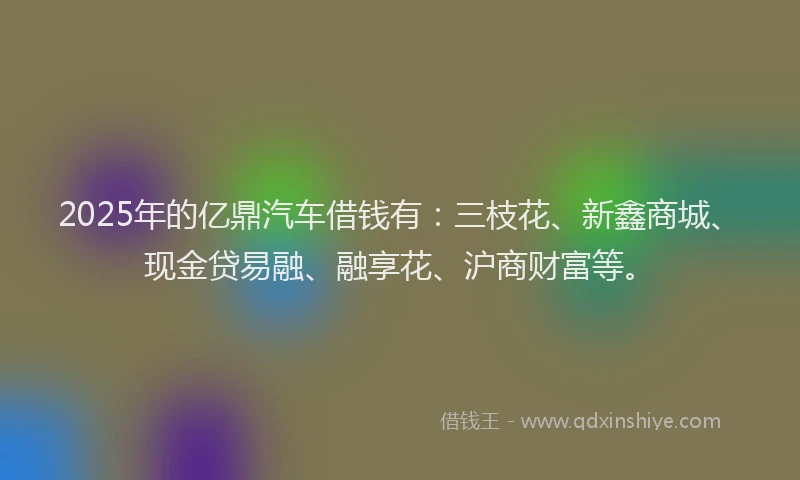 2025年的亿鼎汽车借钱有：三枝花、新鑫商城、现金贷易融、融享花、沪商财富等。