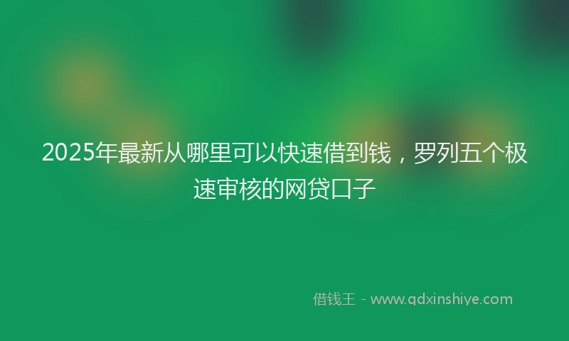 2025年最新从哪里可以快速借到钱，罗列五个极速审核的网贷口子
