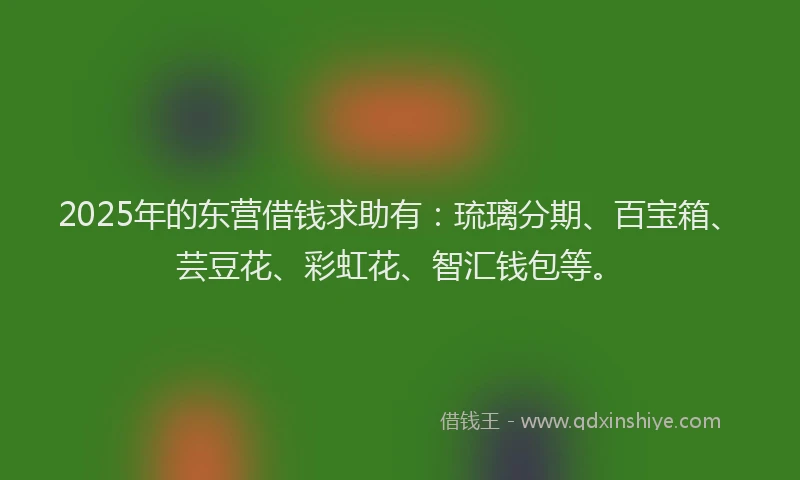 2025年的东营借钱求助有：琉璃分期、百宝箱、芸豆花、彩虹花、智汇钱包等。