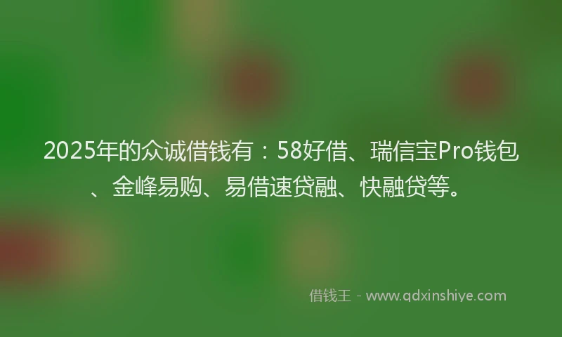 2025年的众诚借钱有：58好借、瑞信宝Pro钱包、金峰易购、易借速贷融、快融贷等。