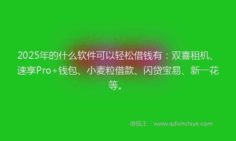 2025年的什么软件可以轻松借钱有：双喜租机、速享Pro+钱包、小麦粒借款、闪贷宝易、新一花等。