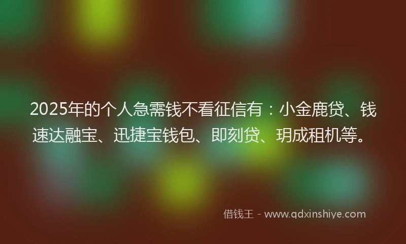 2025年的个人急需钱不看征信有：小金鹿贷、钱速达融宝、迅捷宝钱包、即刻贷、玥成租机等。