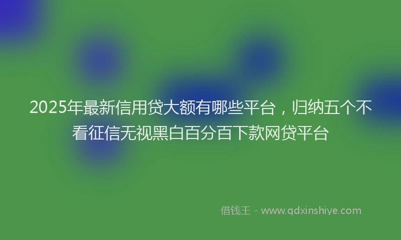 2025年最新信用贷大额有哪些平台，归纳五个不看征信无视黑白百分百下款网贷平台