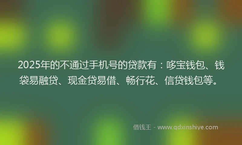 2025年的不通过手机号的贷款有：哆宝钱包、钱袋易融贷、现金贷易借、畅行花、信贷钱包等。