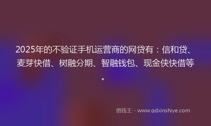 2025年的不验证手机运营商的网贷有：信和贷、麦芽快借、树融分期、智融钱包、现金侠快借等。