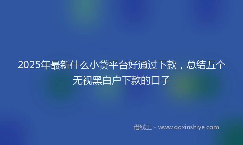 2025年最新什么小贷平台好通过下款，总结五个无视黑白户下款的口子