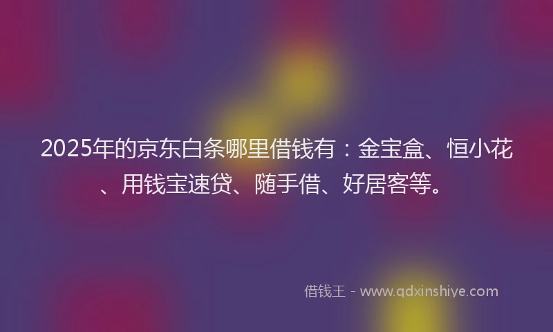 2025年的京东白条哪里借钱有：金宝盒、恒小花、用钱宝速贷、随手借、好居客等。