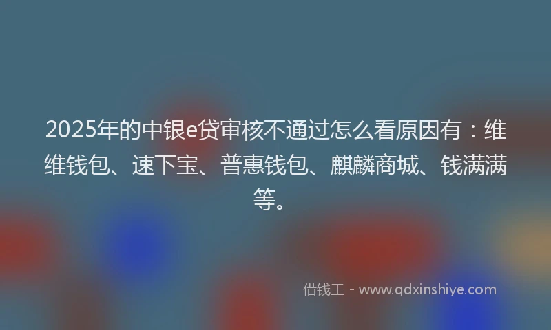 2025年的中银e贷审核不通过怎么看原因有：维维钱包、速下宝、普惠钱包、麒麟商城、钱满满等。