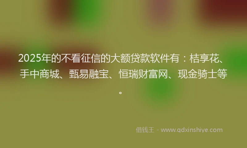 2025年的不看征信的大额贷款软件有：桔享花、手中商城、甄易融宝、恒瑞财富网、现金骑士等。