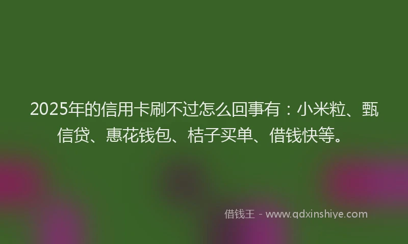 2025年的信用卡刷不过怎么回事有：小米粒、甄信贷、惠花钱包、桔子买单、借钱快等。