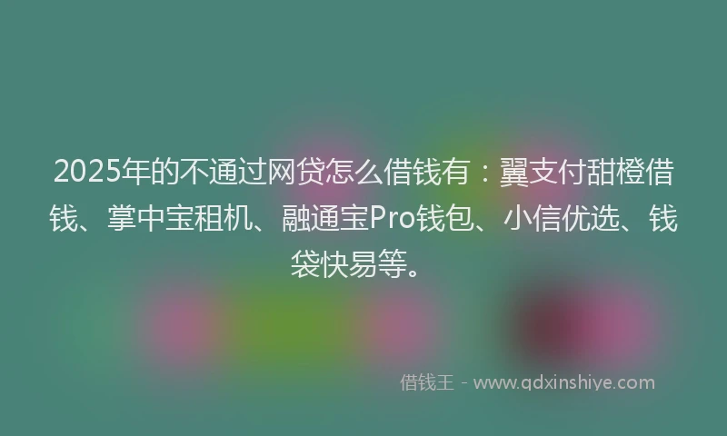 2025年的不通过网贷怎么借钱有：翼支付甜橙借钱、掌中宝租机、融通宝Pro钱包、小信优选、钱袋快易等。