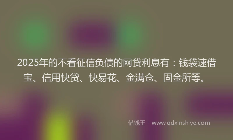 2025年的不看征信负债的网贷利息有：钱袋速借宝、信用快贷、快易花、金满仓、固金所等。