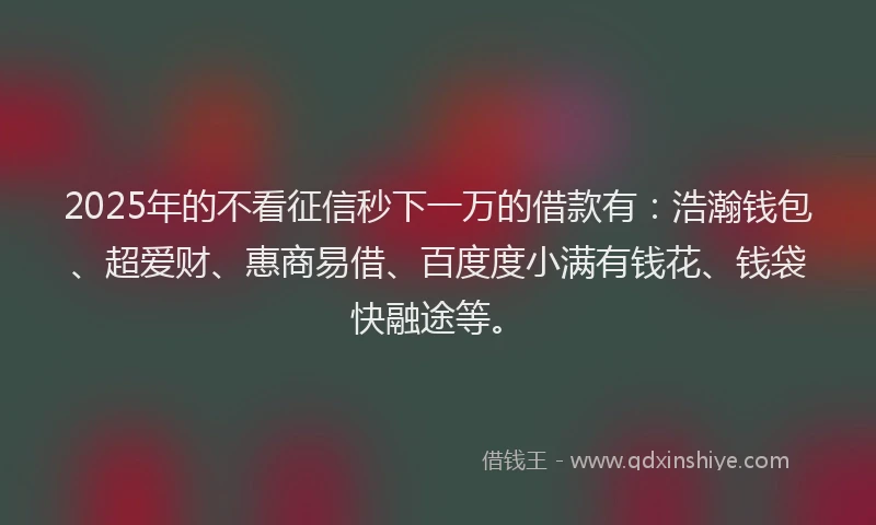 2025年的不看征信秒下一万的借款有：浩瀚钱包、超爱财、惠商易借、百度度小满有钱花、钱袋快融途等。