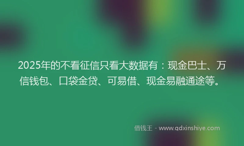 2025年的不看征信只看大数据有：现金巴士、万信钱包、口袋金贷、可易借、现金易融通途等。