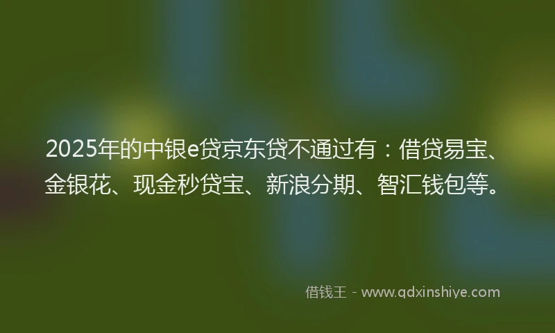 2025年的中银e贷京东贷不通过有：借贷易宝、金银花、现金秒贷宝、新浪分期、智汇钱包等。