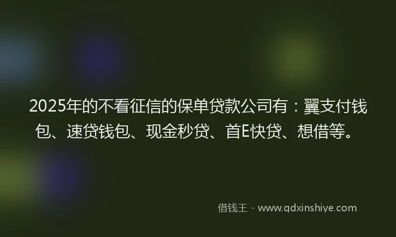 2025年的不看征信的保单贷款公司有：翼支付钱包、速贷钱包、现金秒贷、首E快贷、想借等。