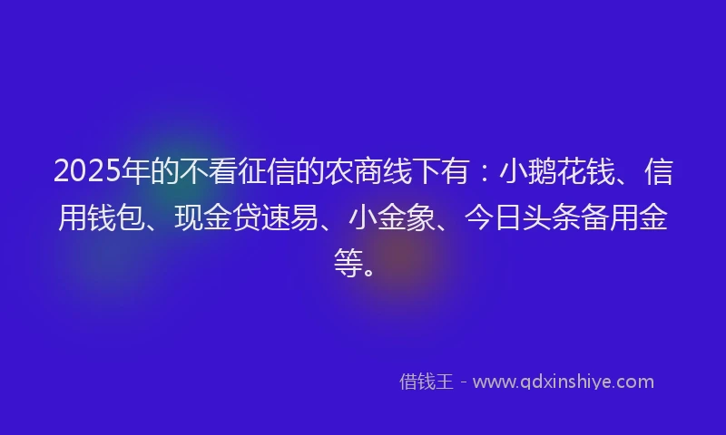 2025年的不看征信的农商线下有：小鹅花钱、信用钱包、现金贷速易、小金象、今日头条备用金等。