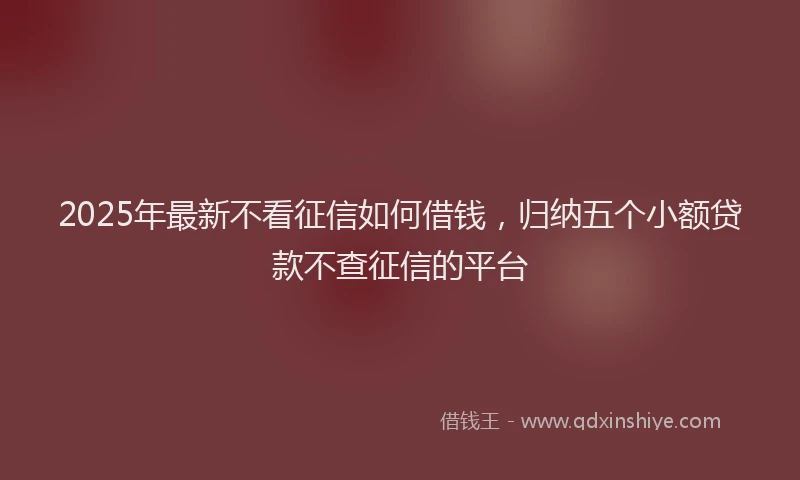 2025年最新不看征信如何借钱，归纳五个小额贷款不查征信的平台
