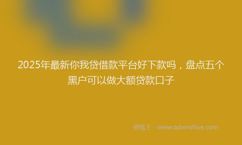 2025年最新你我贷借款平台好下款吗，盘点五个黑户可以做大额贷款口子