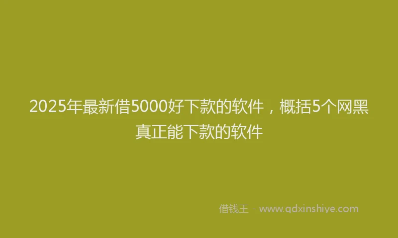 2025年最新借5000好下款的软件，概括5个网黑真正能下款的软件