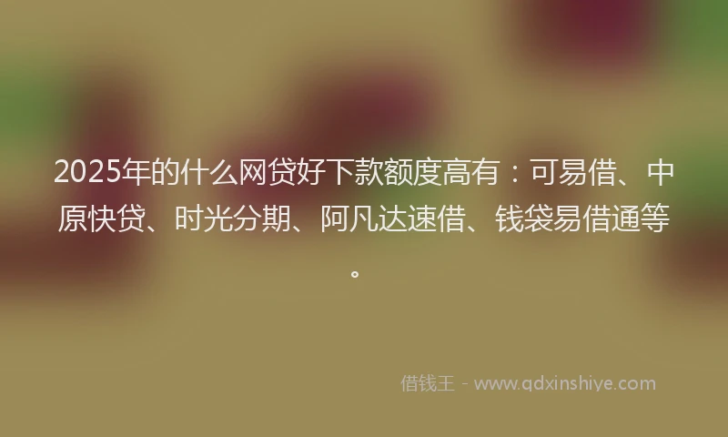 2025年的什么网贷好下款额度高有：可易借、中原快贷、时光分期、阿凡达速借、钱袋易借通等。